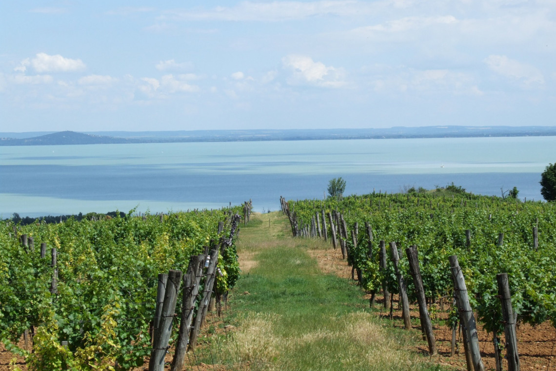 balaton-felvidéki borvidék1
