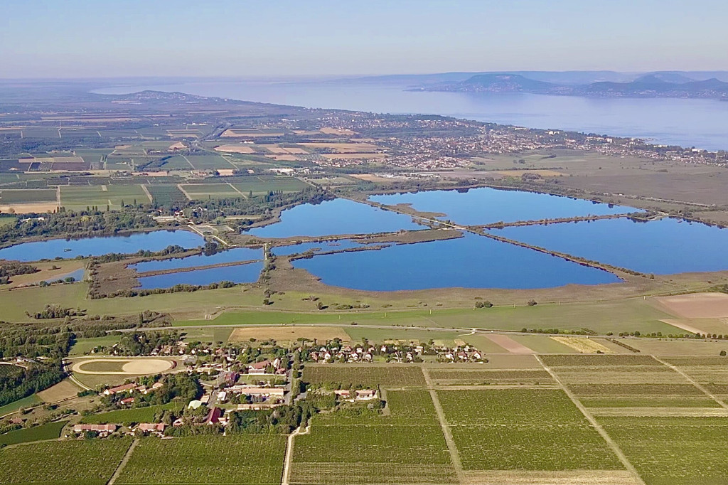 Balatonboglári Borvidék