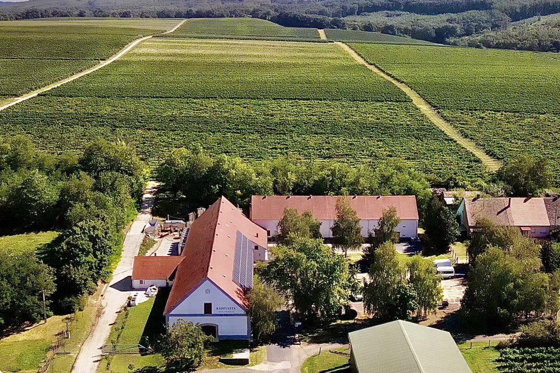 balatonboglári borvidék3