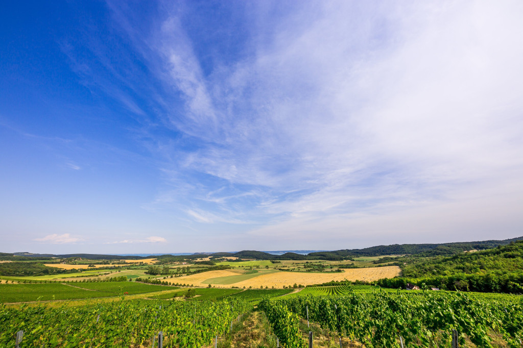 Balatonfüred - Csopaki Borvidék