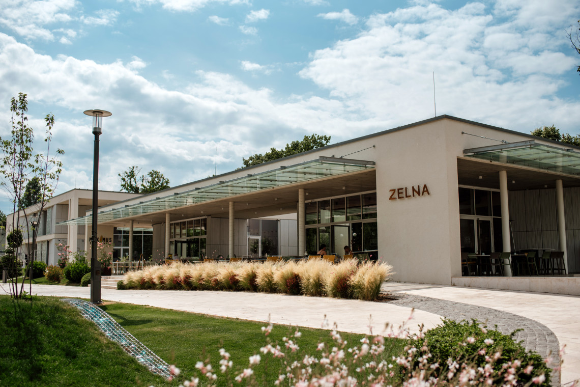 ds_617689_11d8ccdade8dc9faf3735191c1783a81