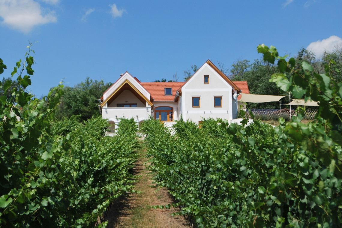 ds_617690_3cbd83c8f2d32923d934d0e5ced9c429