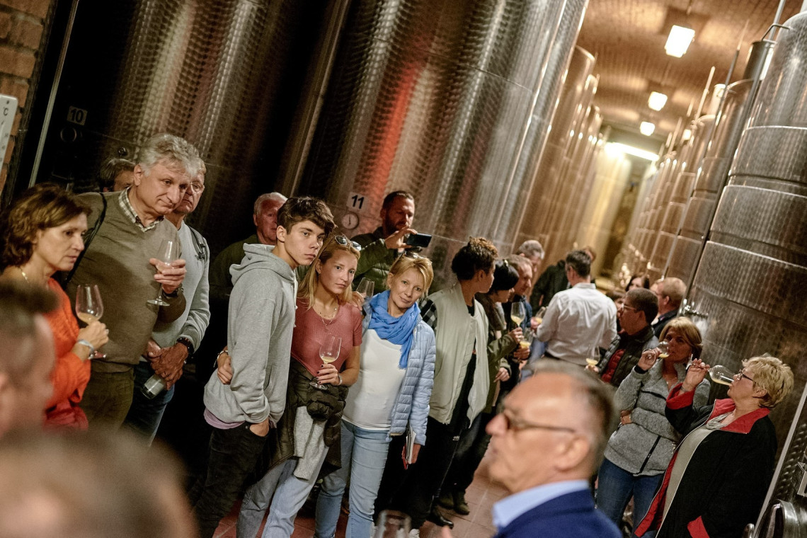 ds_617696_626ee47eef6f2959c2369ac0cca819aa