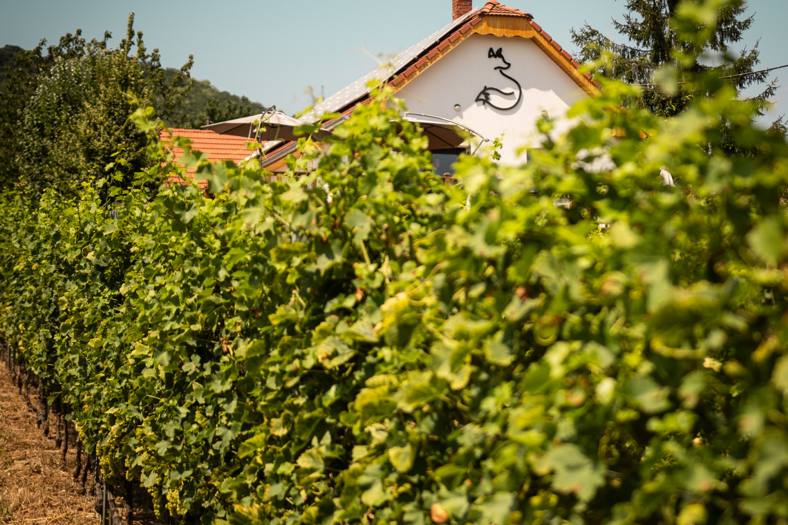 ds_617699_1a9a05fad30c0afe894682ad2eee64a9