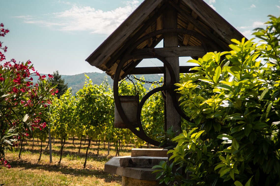 ds_617699_9fe0f212e735a14af8fca6e5a327b490