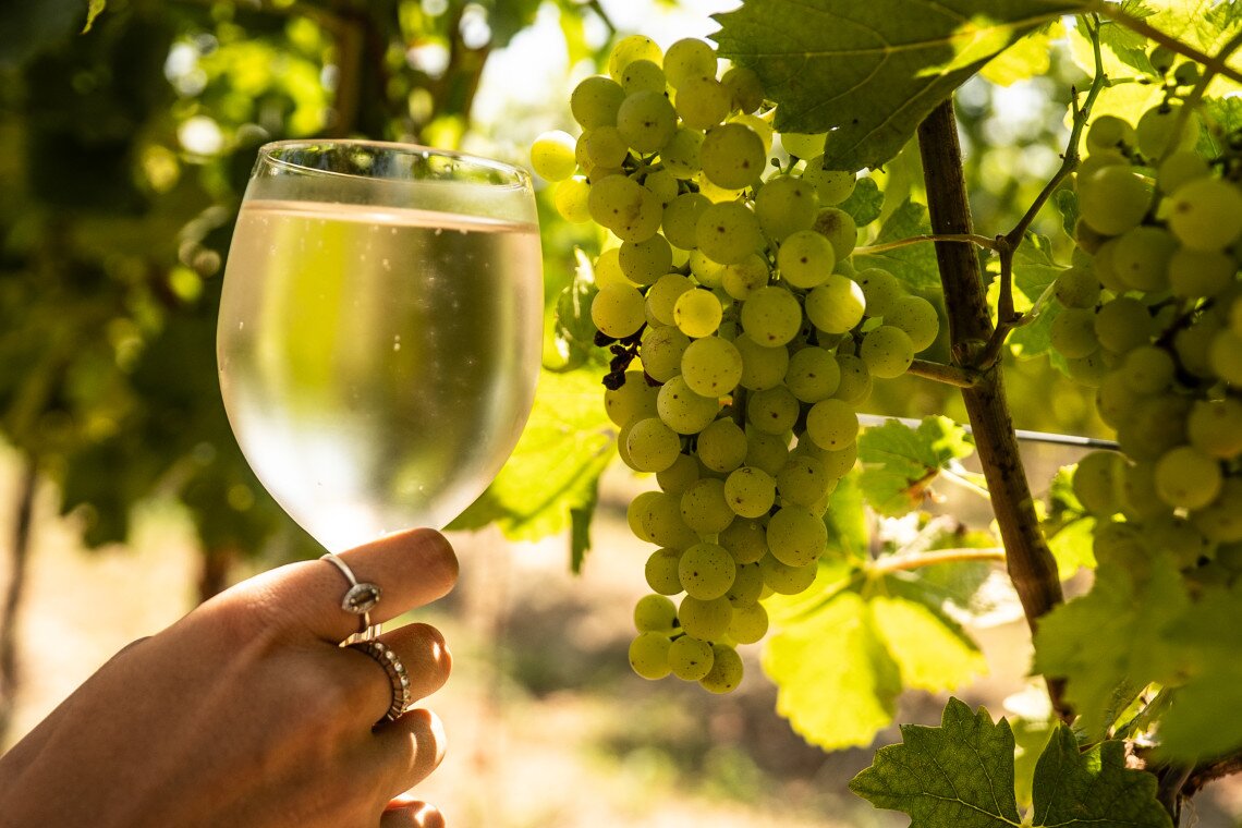 ds_617699_f8b248de40dd3d48302c8dcb63637514