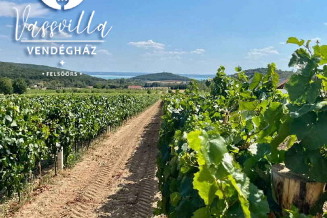 ds_617700_7269f6b1dffe280e9c8fc00a5e1415e9