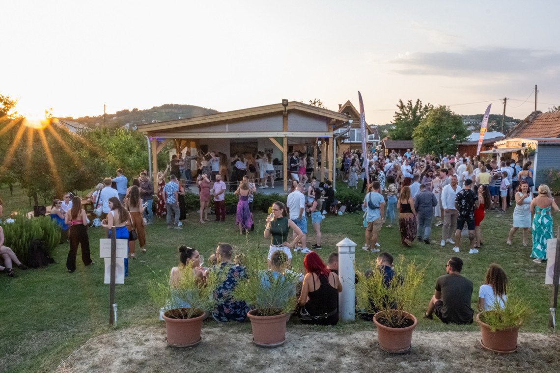 ds_617701_816a93c027d98c5c22627d18c461a326