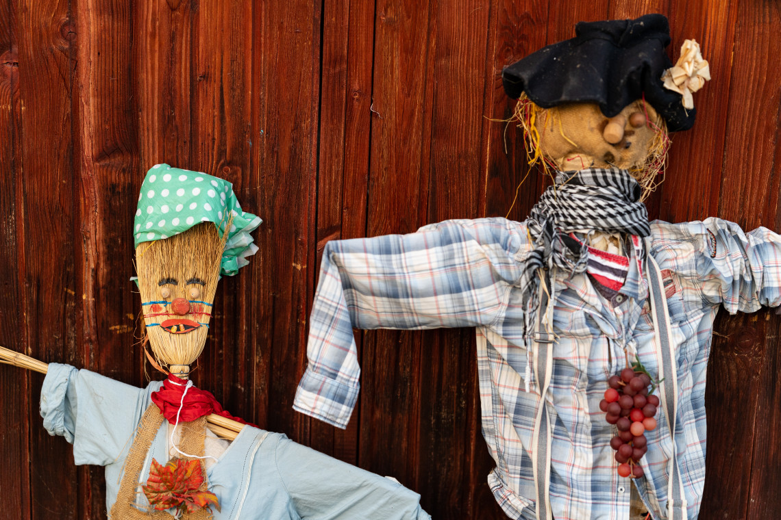 ds_617701_ef38141f201806ec83c8e948941d9d24