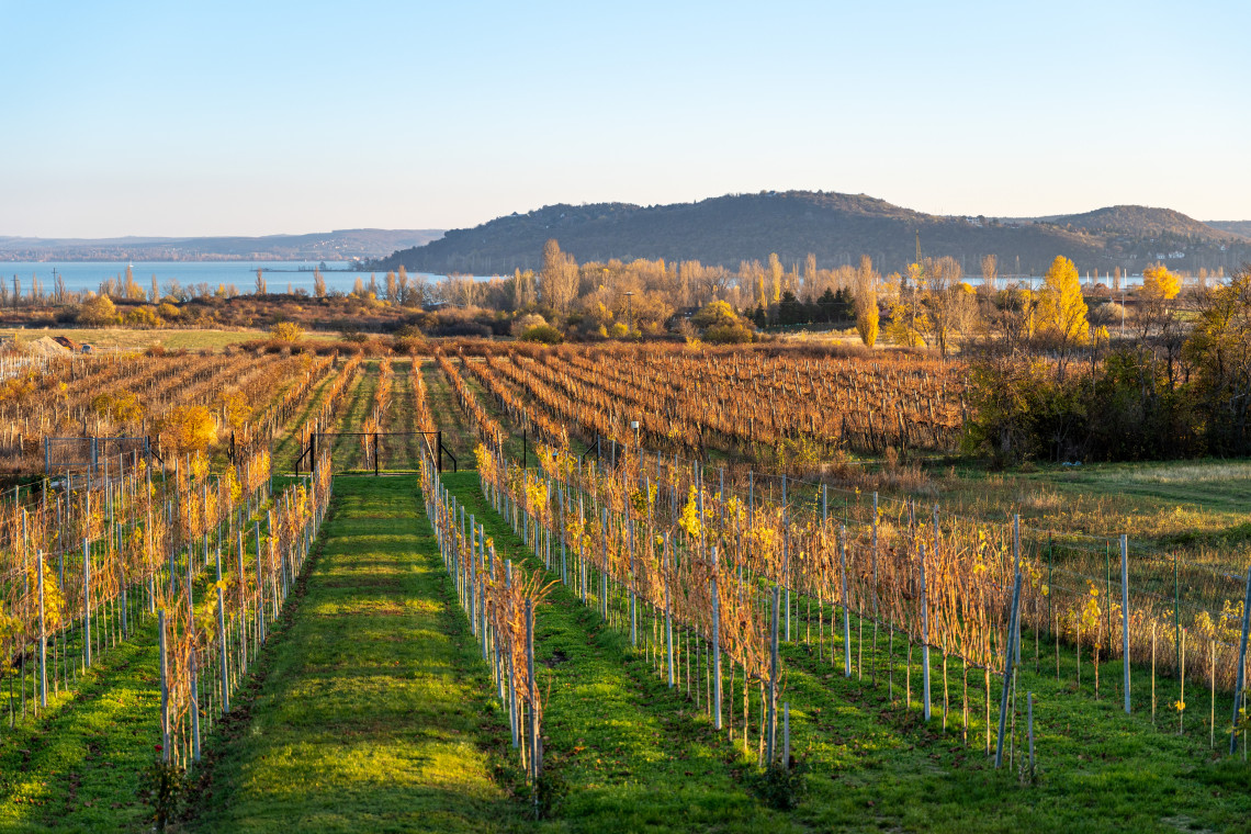 ds_617701_f5e79d2df42a02a39f841c5c80024e74