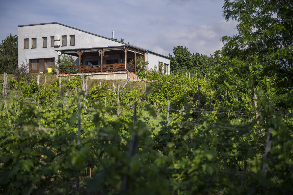 ds_617707_7f35cf7a79f7efb9df6431a0a018d1e6