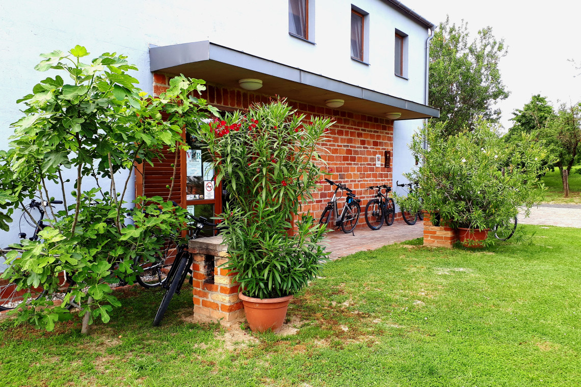 ds_617707_8fe76539f65fb20f9e1cb5228281ef6e