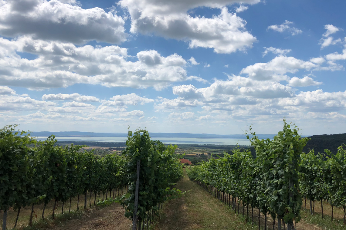 ds_617714_5fd2b7a81cd313563e345a2feae9ad35