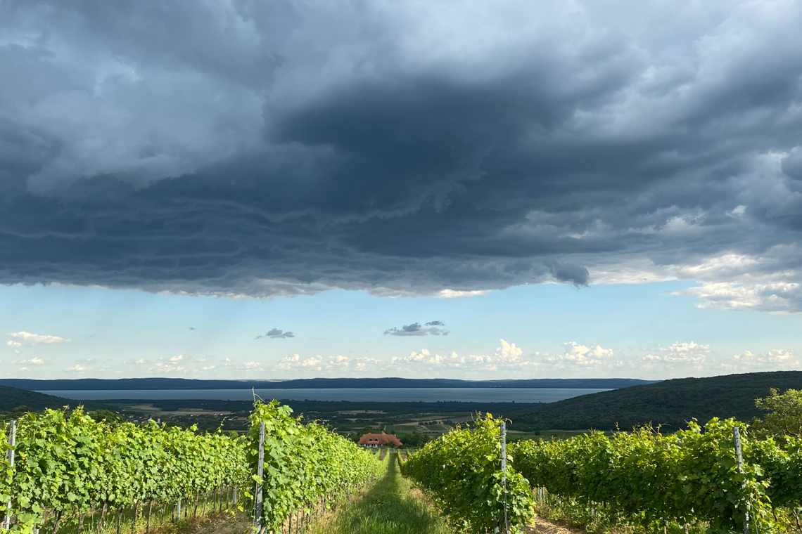 ds_617714_672747c97cb89c5c63ba5bad8e2c28ec