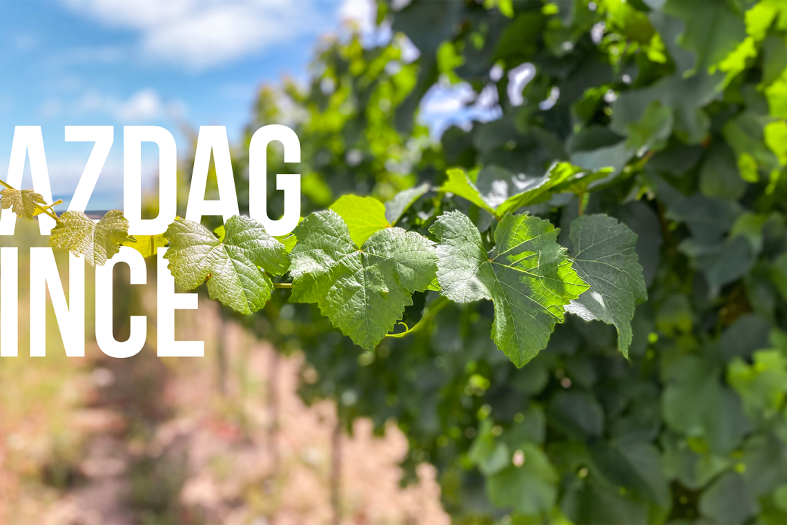 ds_617714_ad988222165ba455b7b86fbc933e1f28