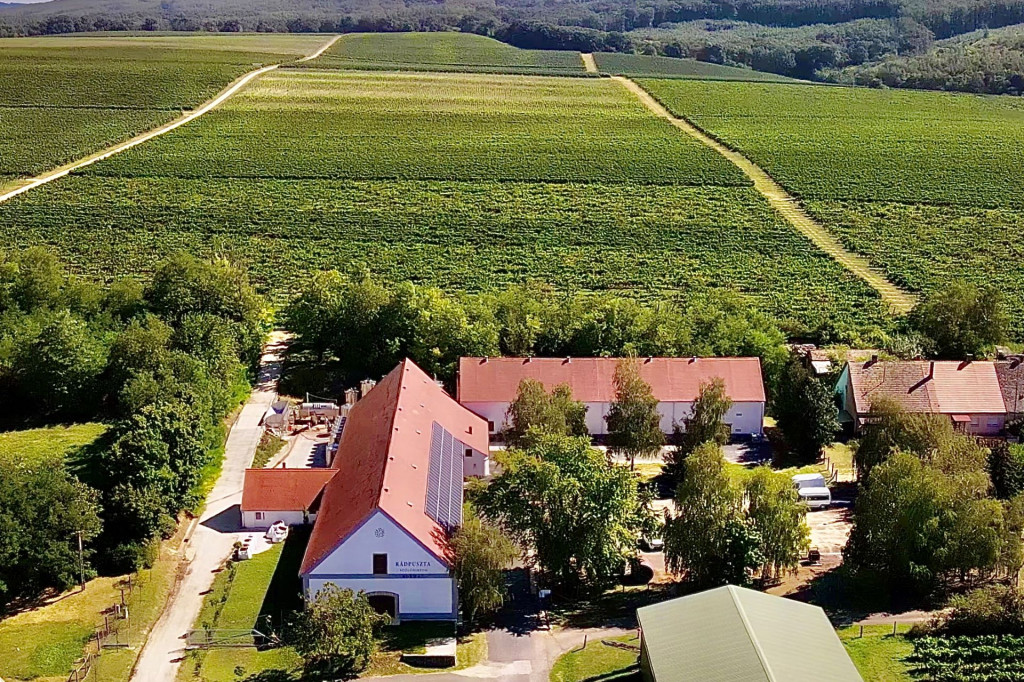 Rádpuszta Szőlőbirtok