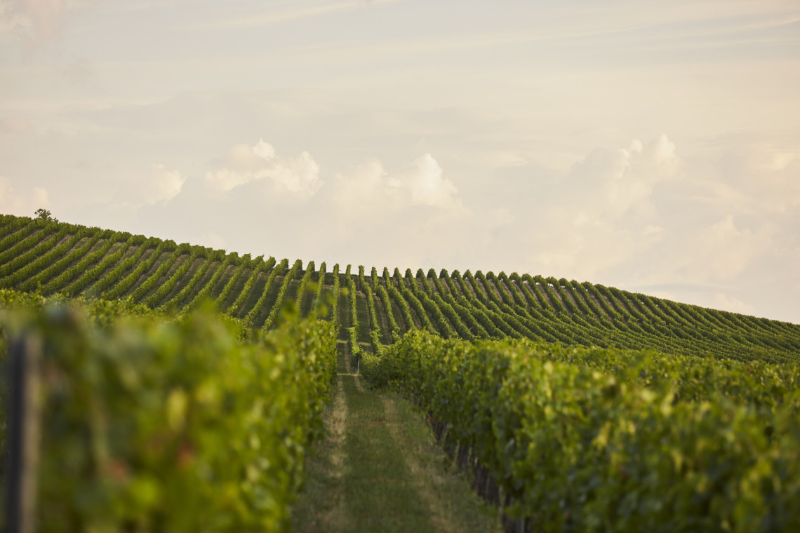 ds_617716_eaba027285e1c6a05141ae9d42fe239b