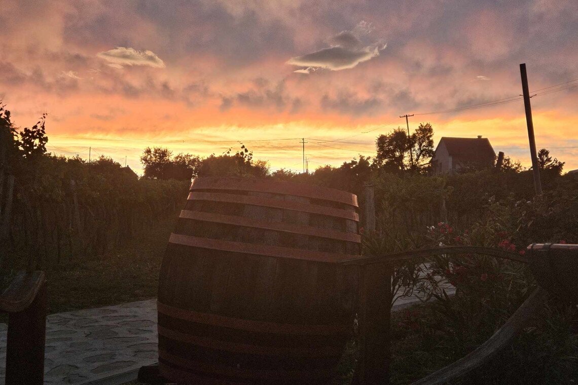 ds_617720_7105e4eeaf2d2cb7b3c96c2a5888c794