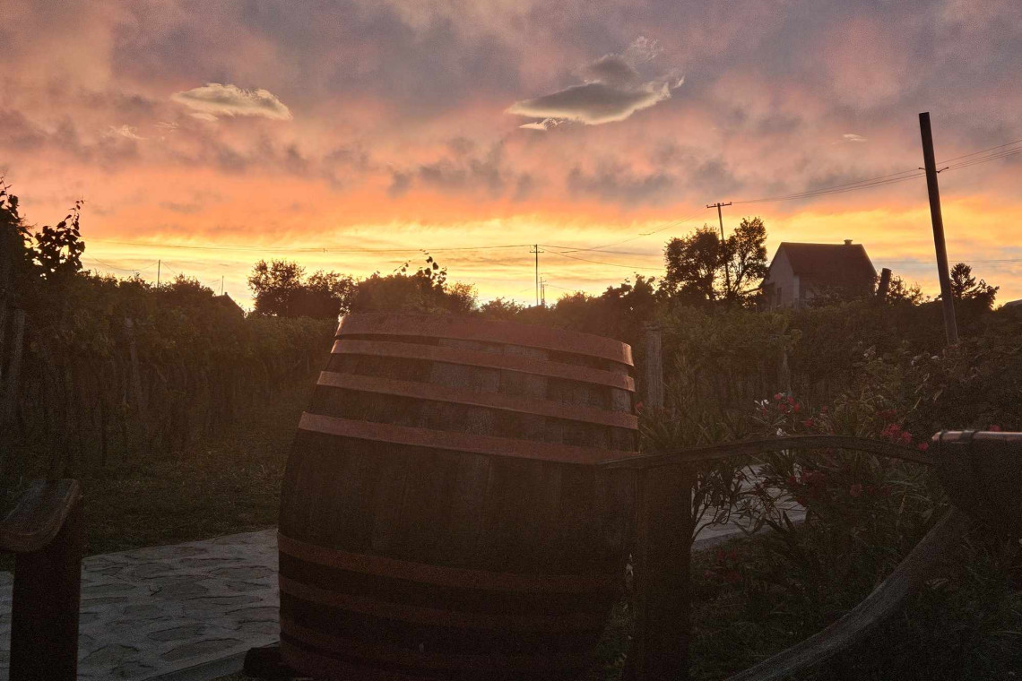 ds_617720_7105e4eeaf2d2cb7b3c96c2a5888c794