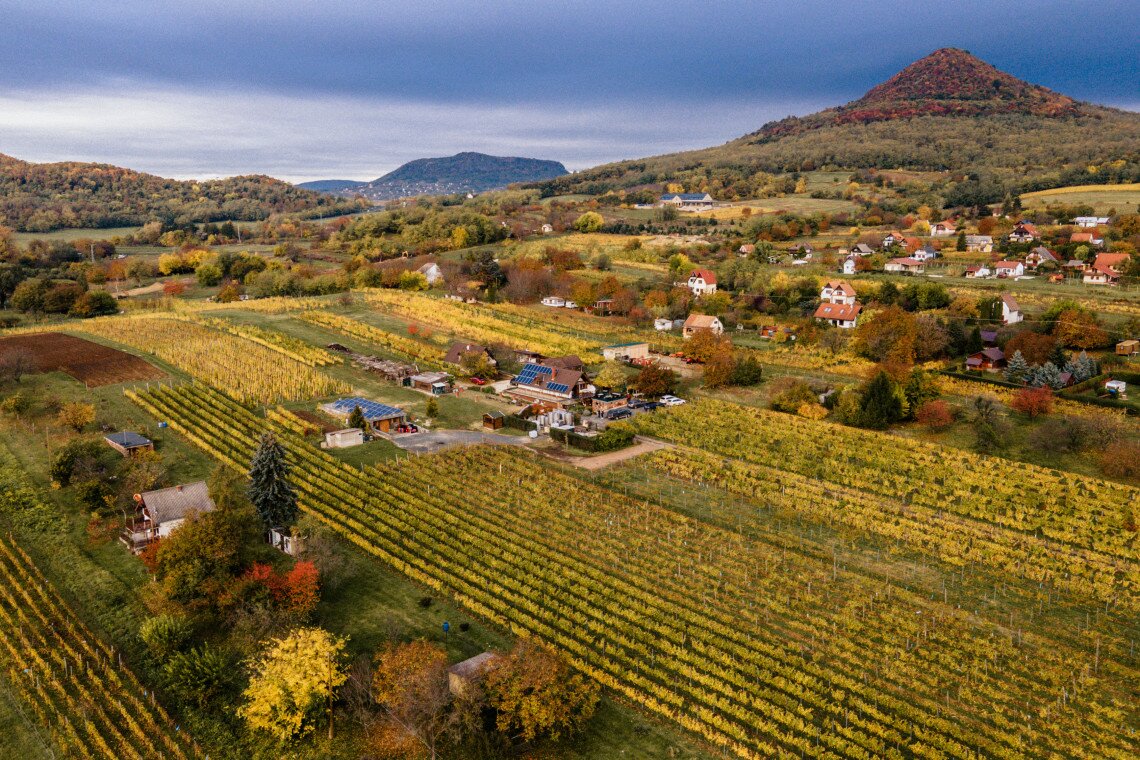 ds_617723_082b12071a10f8309702391e32afa307