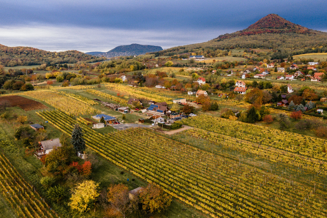 ds_617723_082b12071a10f8309702391e32afa307