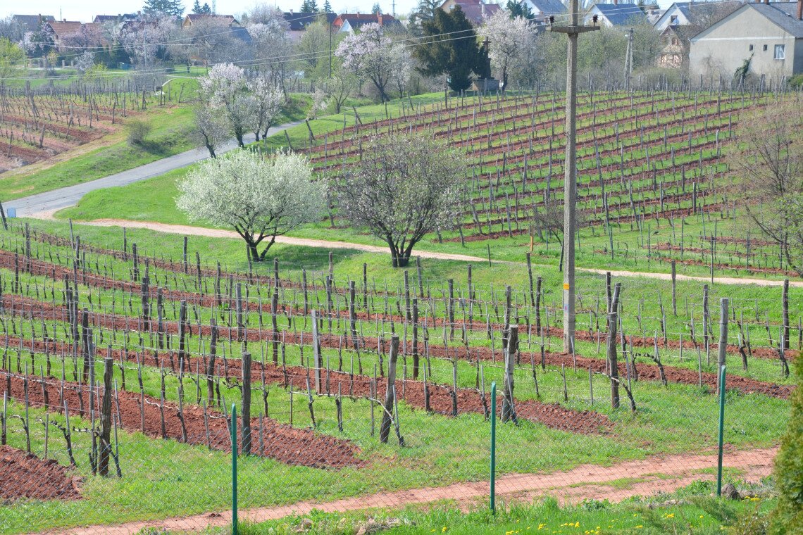 ds_617735_35189966919ece30ad29debce976b0f9