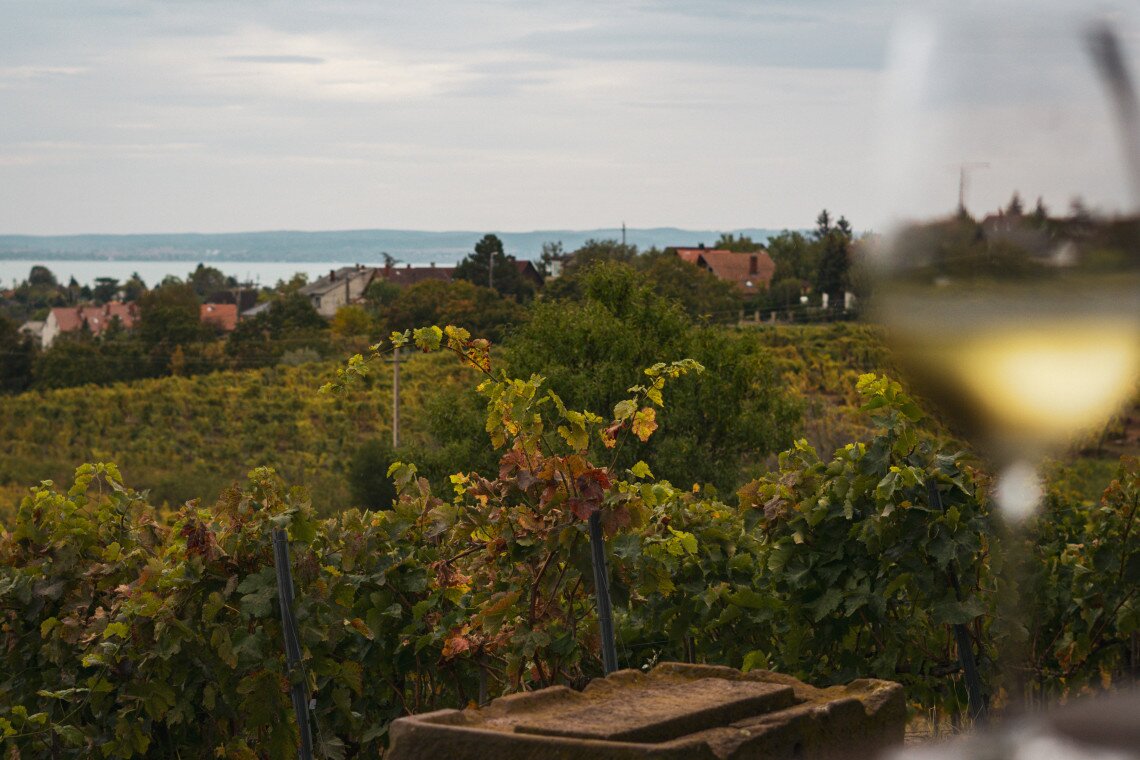 ds_617735_469c9266e44987f4415c602b4d5fd76b