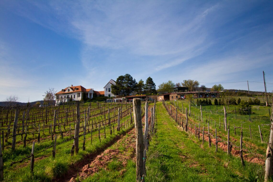 ds_617735_84bc59a9e83af1845fc4d4bc443082b3