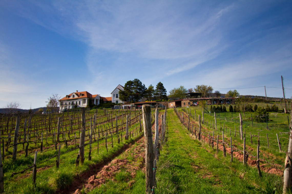 ds_617735_84bc59a9e83af1845fc4d4bc443082b3