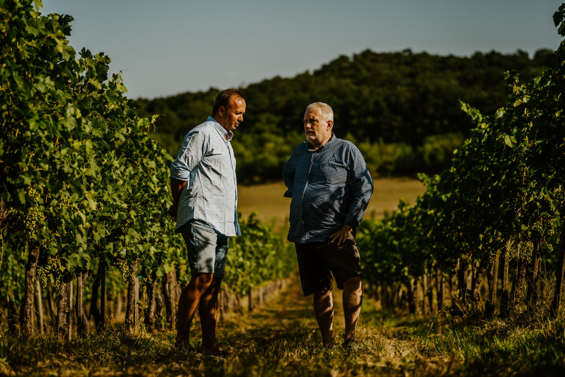 ds_617737_21308d5666fe1e426385b578f2519833