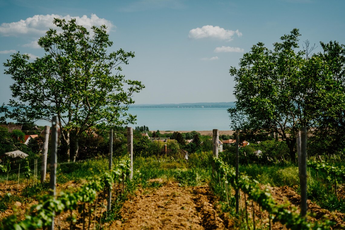 ds_617737_8a074767ba2db7cd4d971ec1caf4a9cd