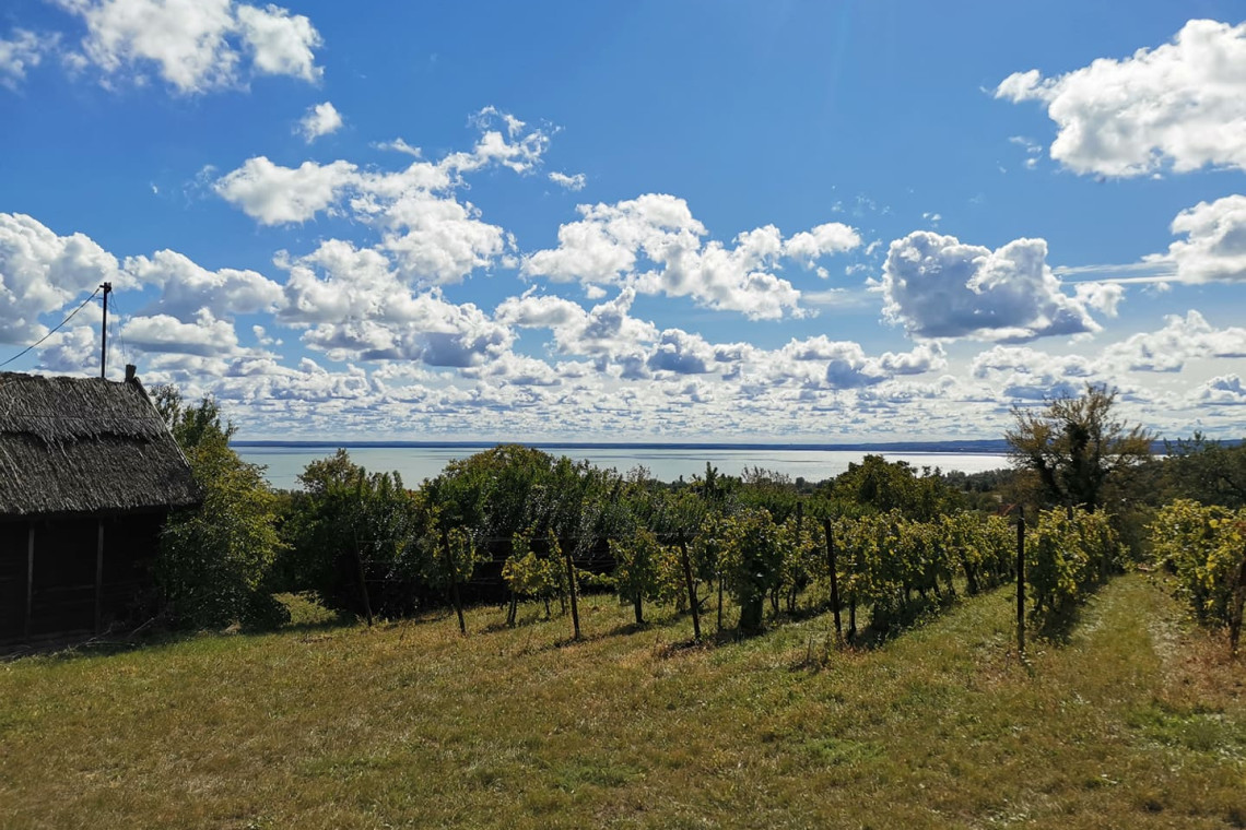 ds_617739_72f7f326cc5496cb86510f8bd815381d