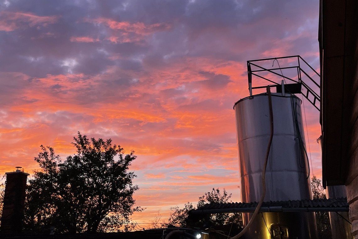 ds_617750_1d893c8cbb83e06bbc60ea93a91c5827