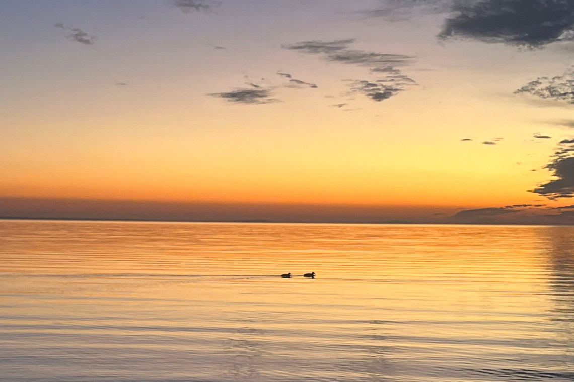 ds_617750_6ab6504526a7ac2bd94a5faa54e8c8ac