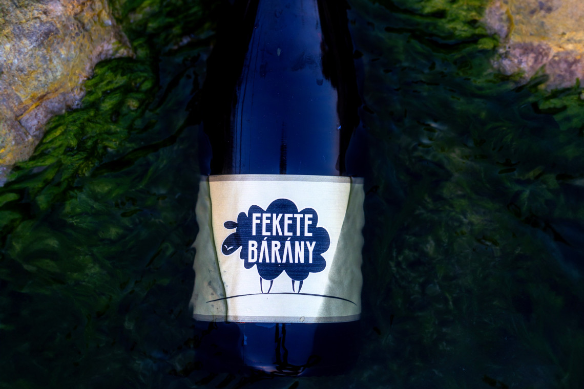 ds_617750_e90daaec44362dc039a95d0fc114ce54