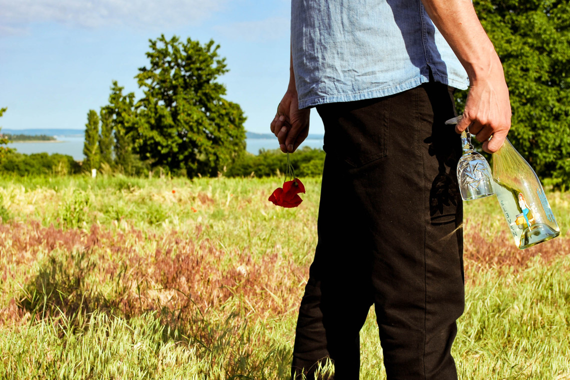 ds_617751_81d92ebf6fd2b02e11e0e0b6e0a9d7db