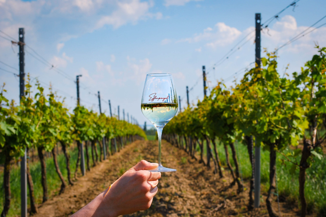 ds_617751_da0434f39ceaa6502bb04724322643aa