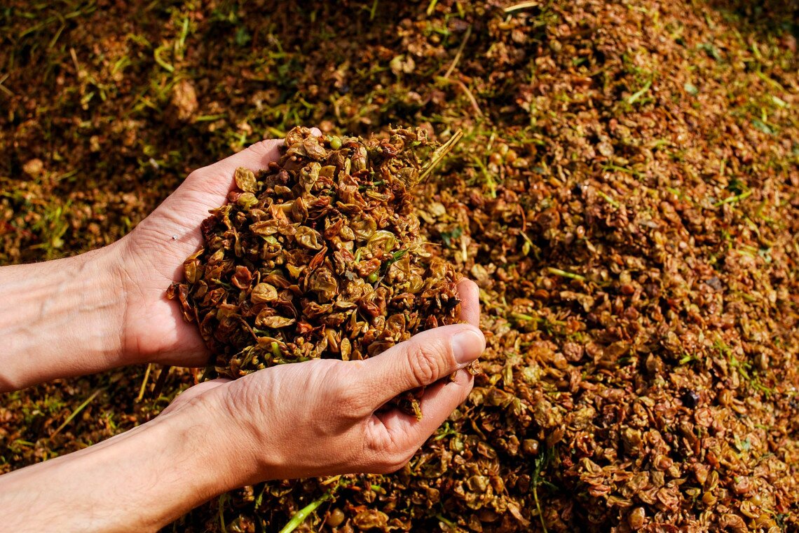 ds_617751_fbee0f176d1a07b79f79380f8c38c8e4