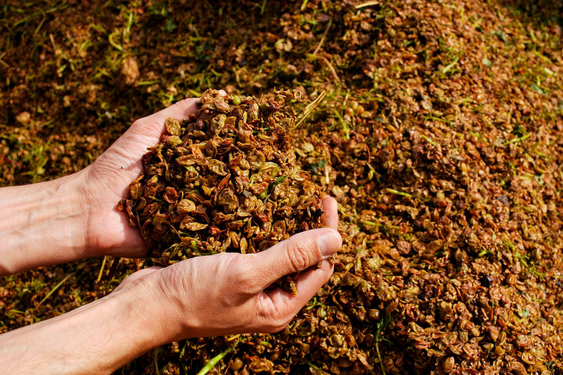 ds_617751_fbee0f176d1a07b79f79380f8c38c8e4