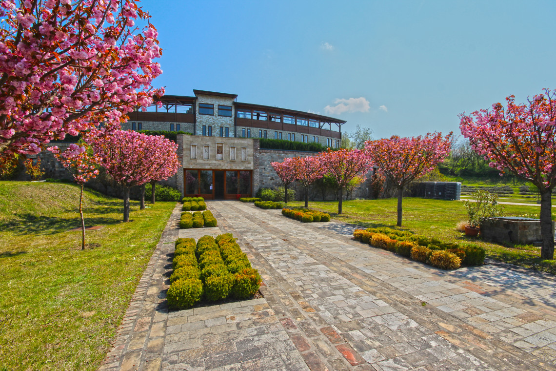 ds_617754_27ad02114d75f9a49050a7e1fb7924cb