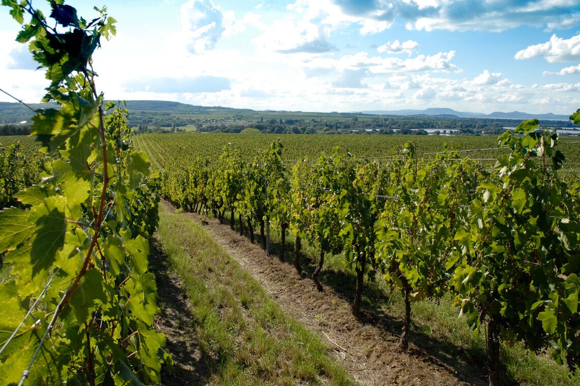 ds_617754_3c9717e1230c4c91da4ca4c3c66f2b19