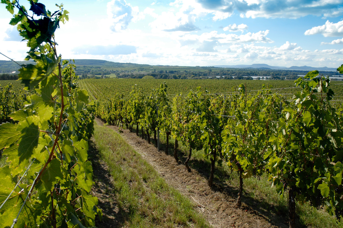 ds_617754_3c9717e1230c4c91da4ca4c3c66f2b19