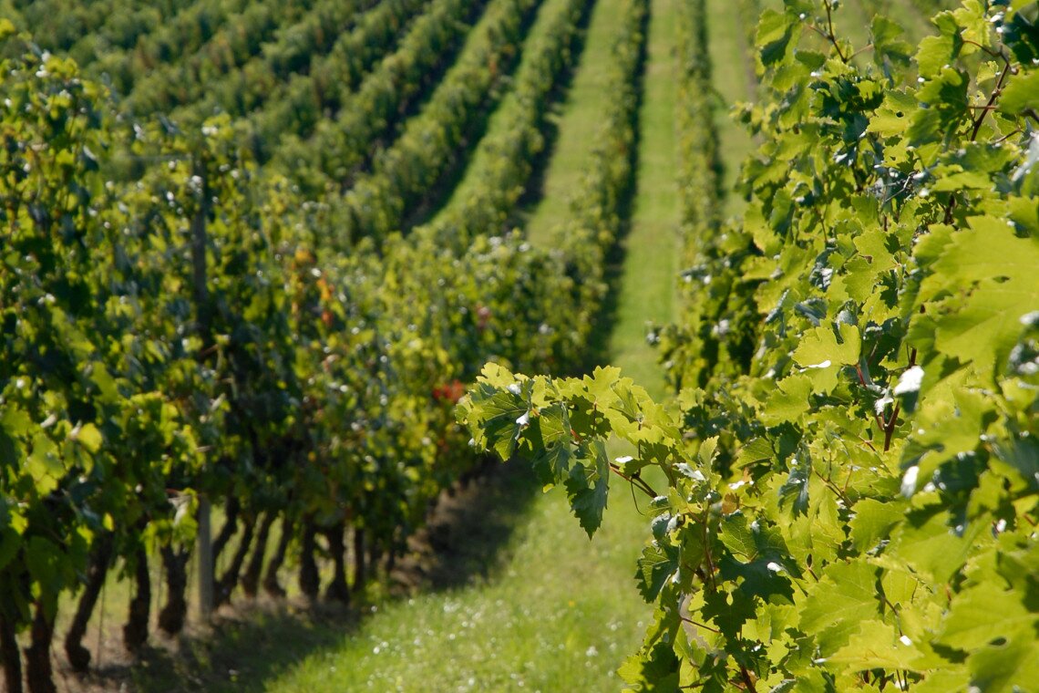 ds_617754_f9b90fde82cfc8efd1cf7c051a2a1f06