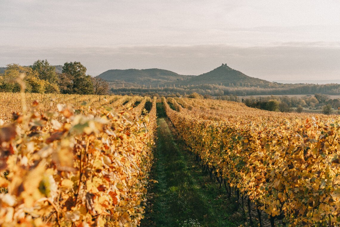 ds_617755_28d2580e26f4ed76c1fb798ac72ae59c