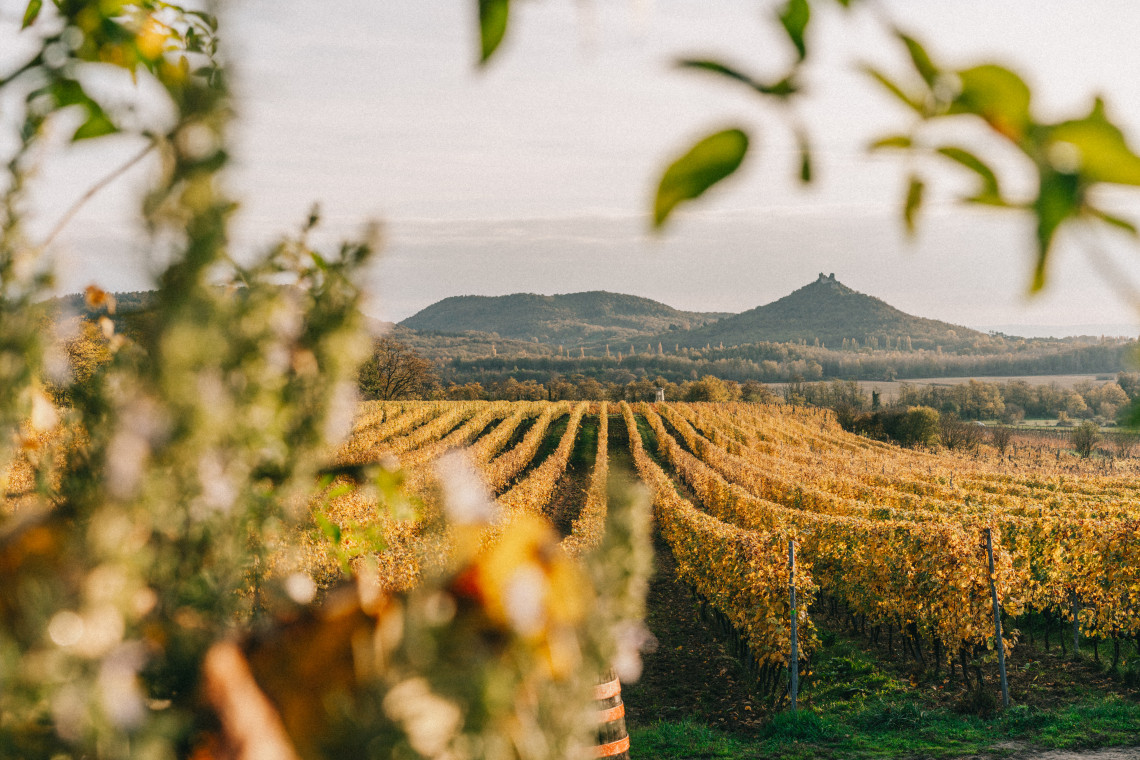 ds_617755_2bb03bd50bf929ded6da172305bc67e1