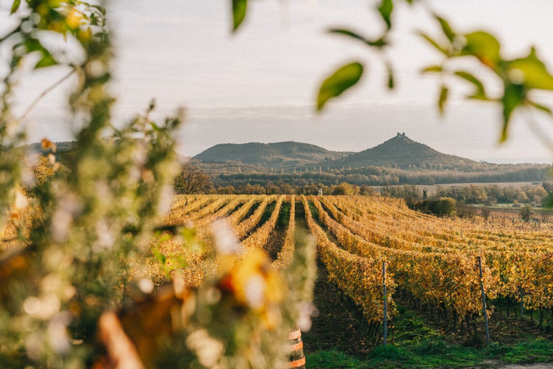 ds_617755_2bb03bd50bf929ded6da172305bc67e1