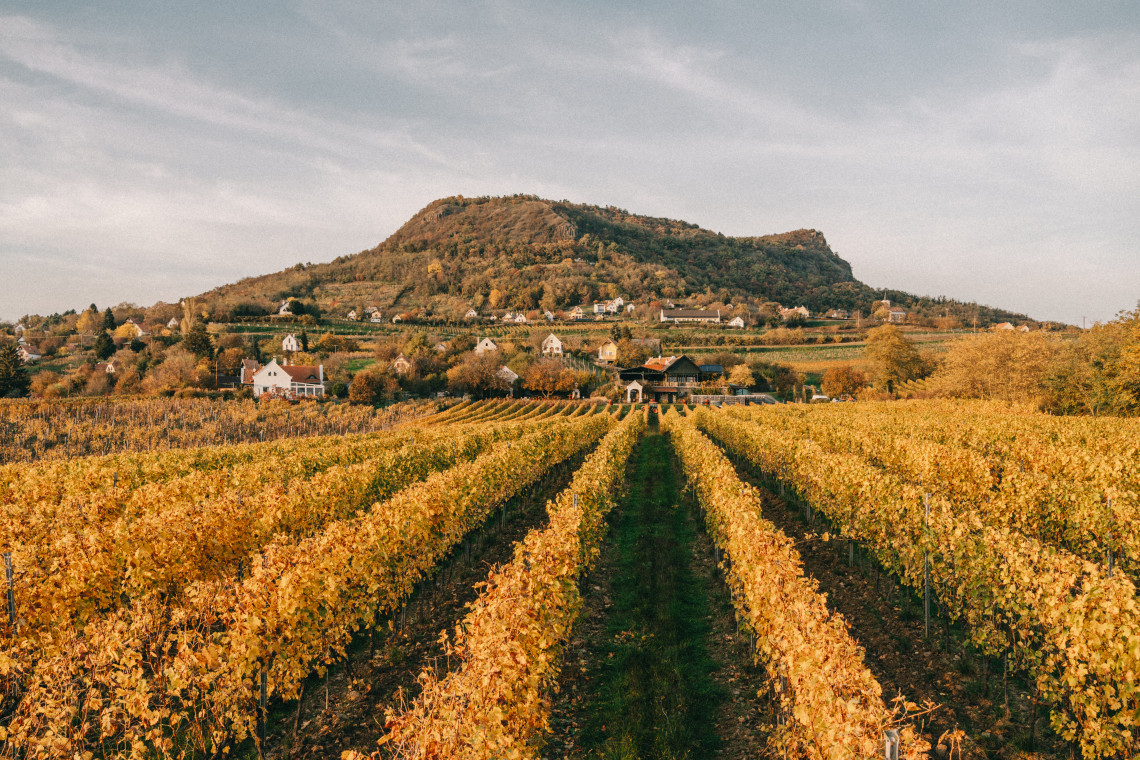 ds_617755_9d66d161f4466035724cdec3207e487a