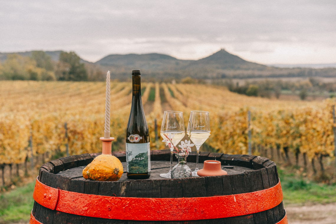 ds_617755_a5dccce67700bdf03a529f0277ad93b3