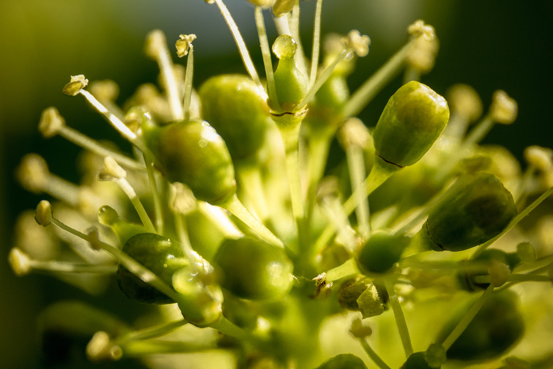 ds_617757_b1e883f977d7f58b97d102333bc99e02