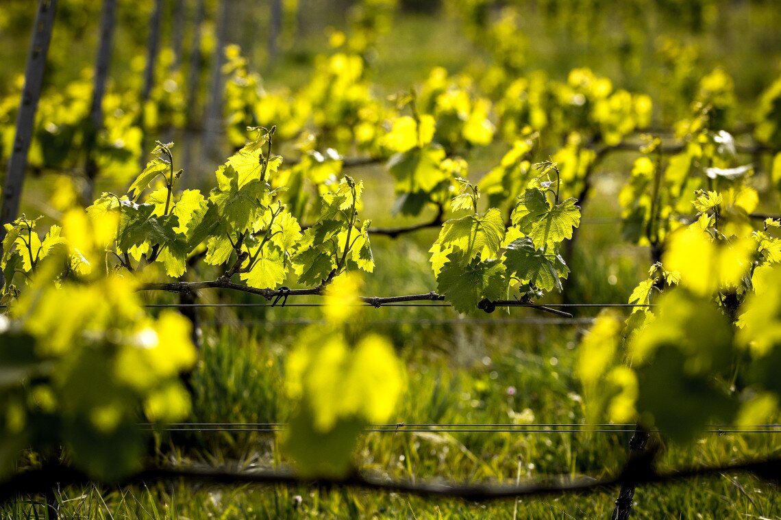 ds_617757_e28f46e68ce687ff658878fc69d9224e